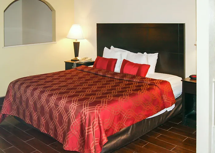 Suite con letto king size